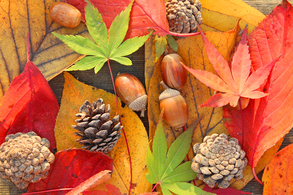 clinicians at family therapy center of madison