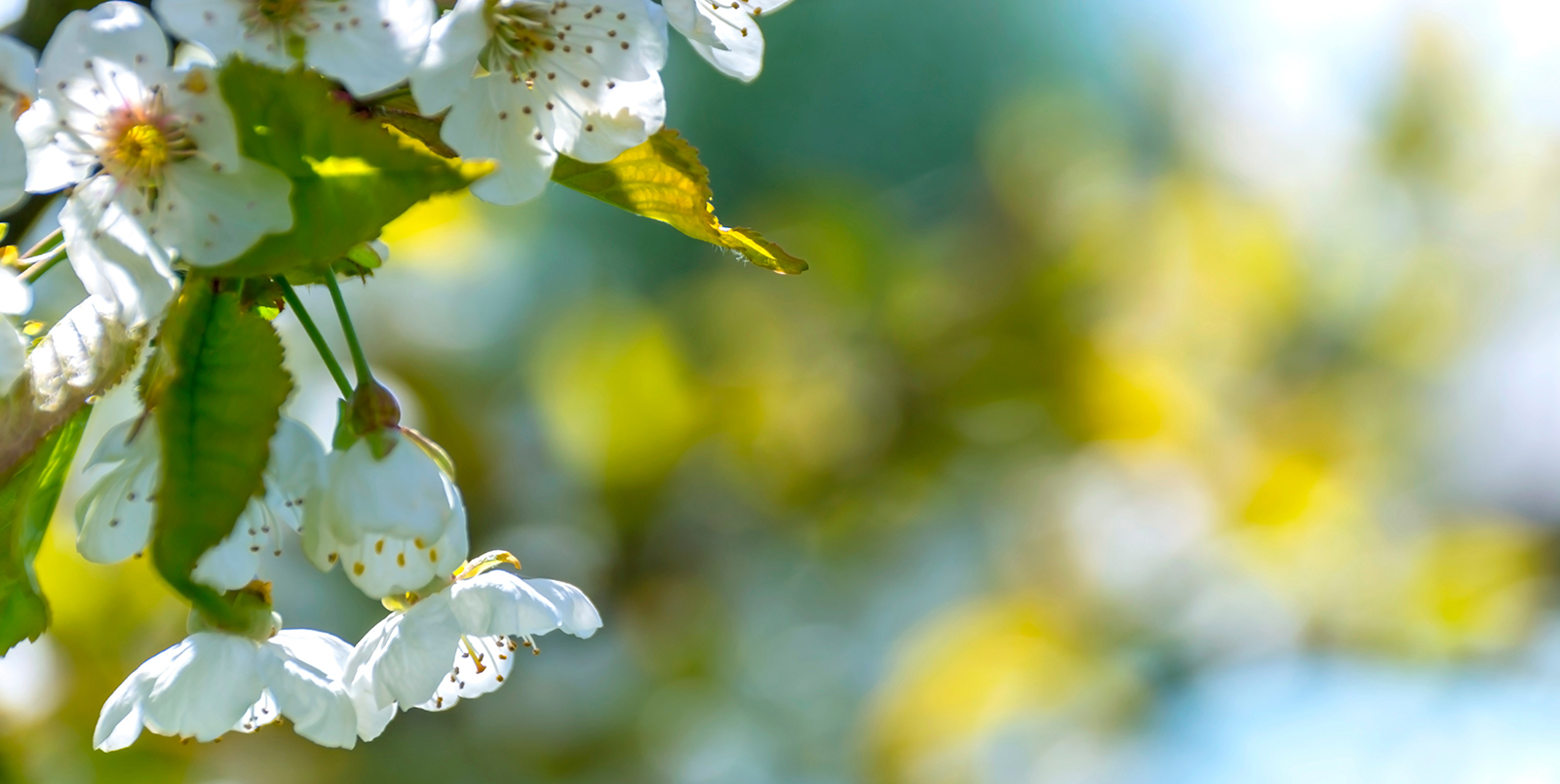 family therapy center of madison - Family Therapy Center Madison | Counseling & Therapy